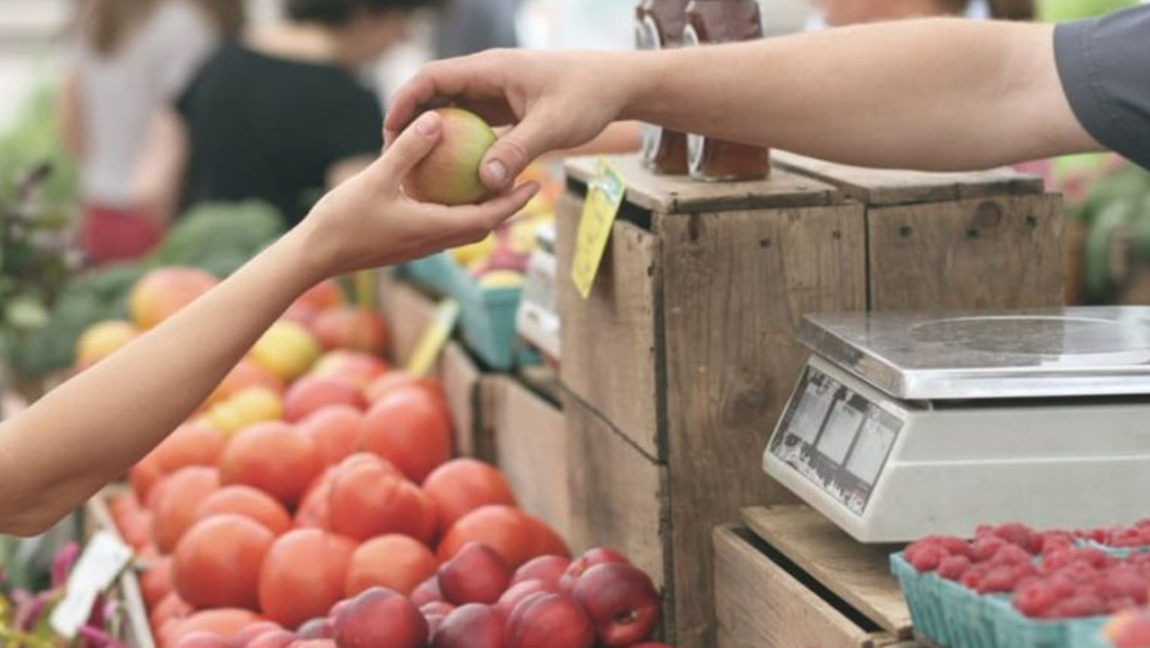 Aligning Trade Policies with Health Objectives