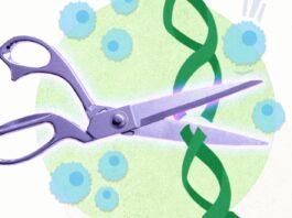 CRISPR Nucleases