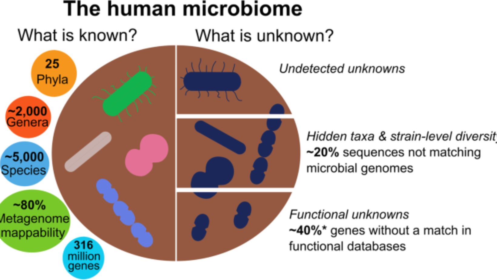 Gut Microbiomes
