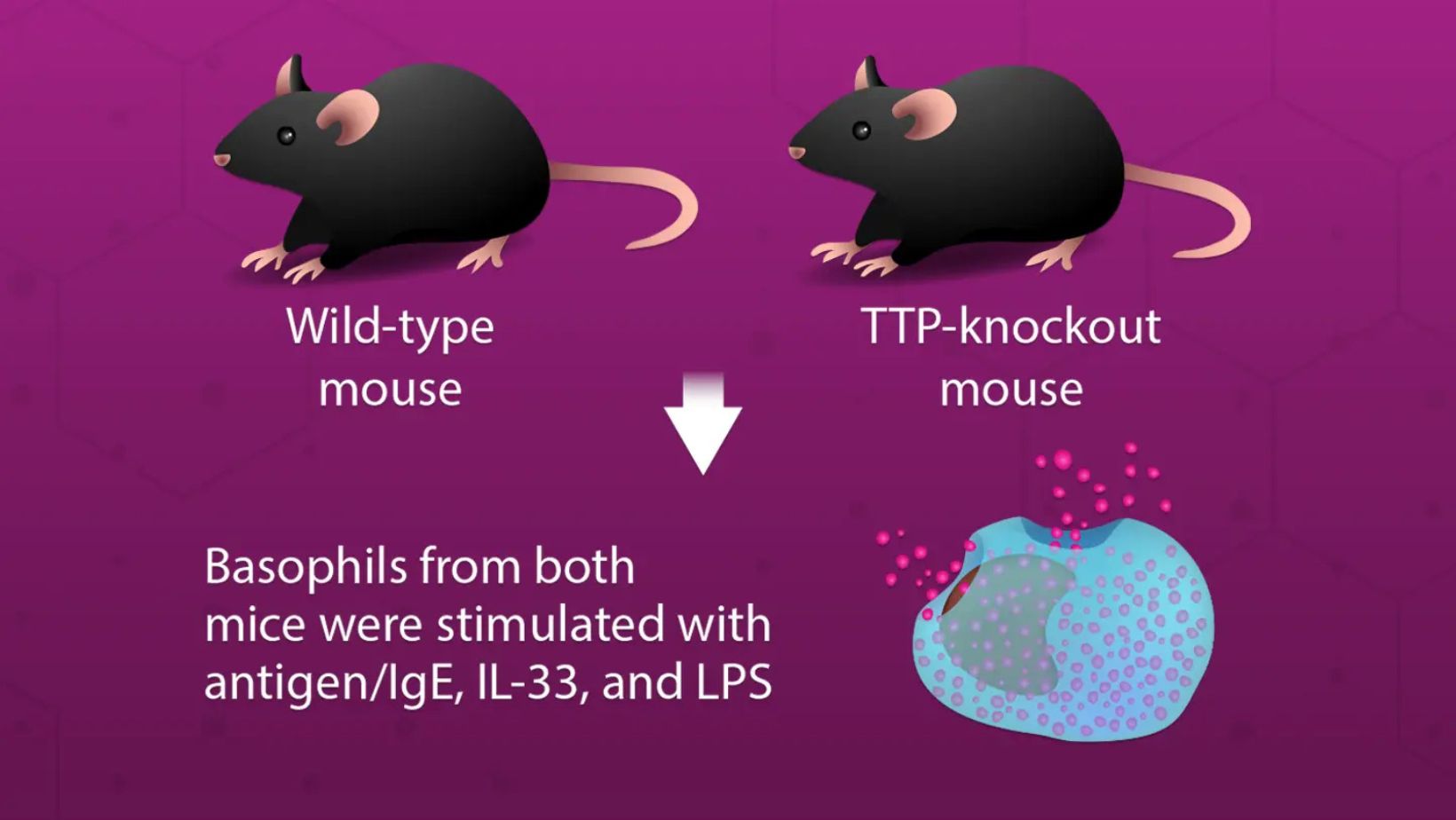 RNA-Binding