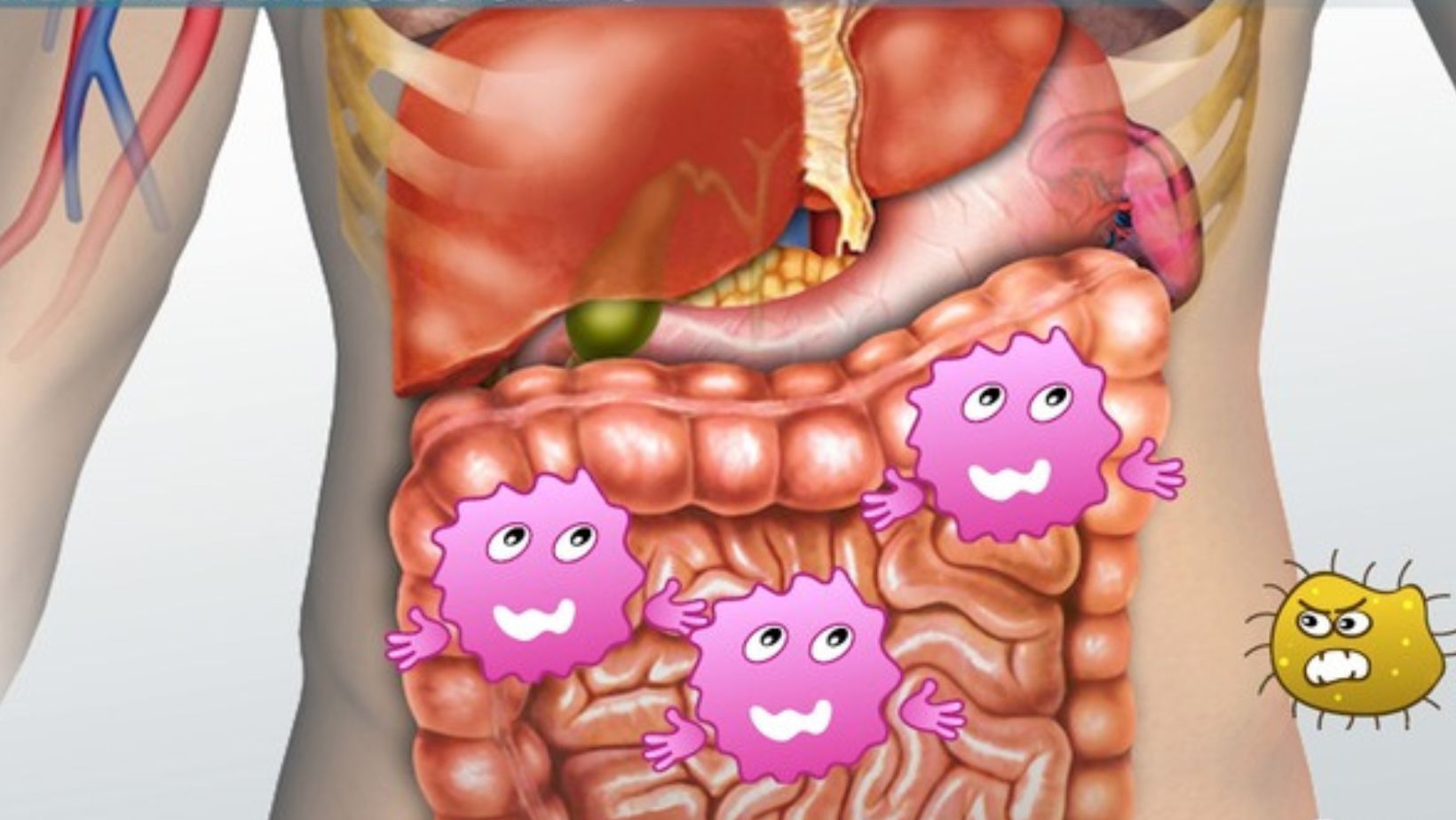 - True Spring Nutrition The Skin You're In: Why Your Body's Largest Organ Deserves Extra Care