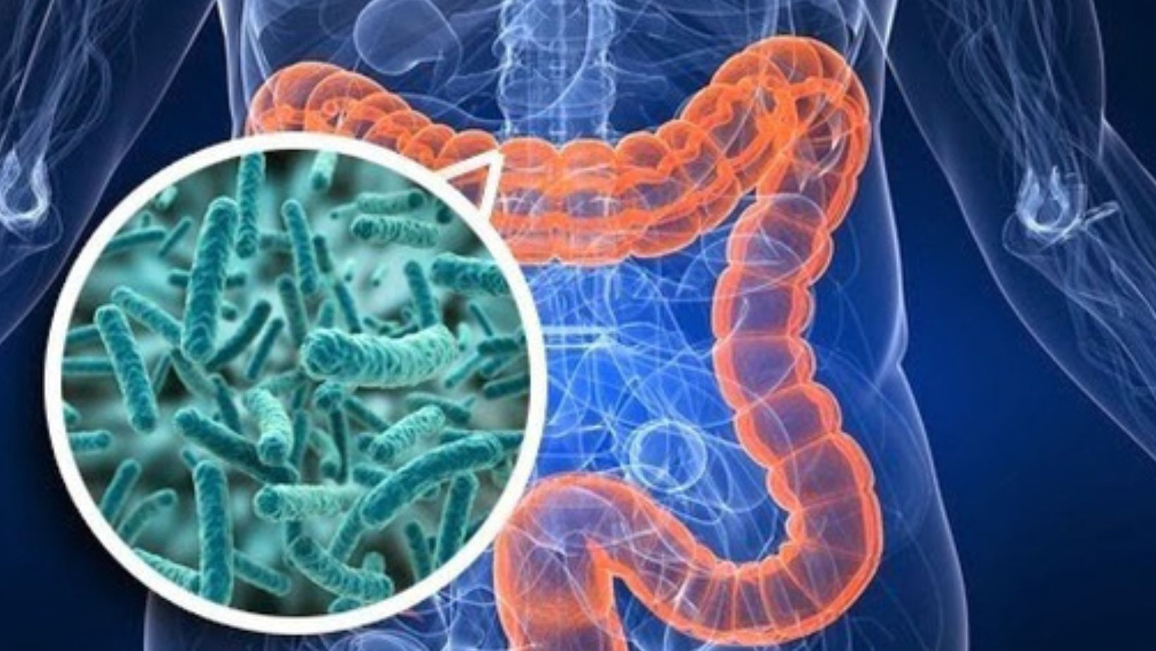 - True Spring Nutrition The Skin You're In: Why Your Body's Largest Organ Deserves Extra Care