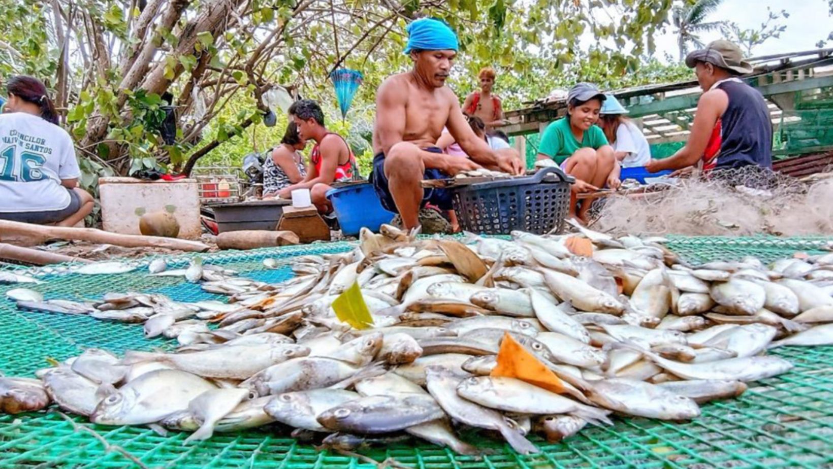 Small-Scale Fisheries - True Spring Nutrition Small-Scale Fisheries