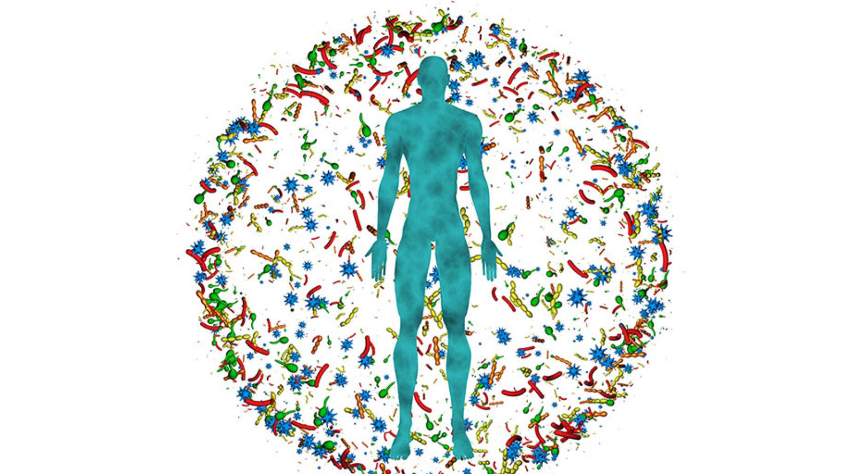 Gut Microbiomes