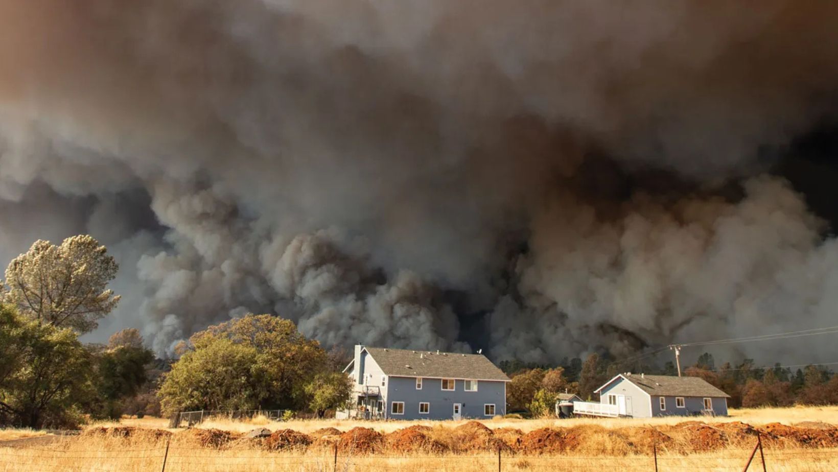 Wildfire Smoke - True Spring Nutrition Wildfire Smoke