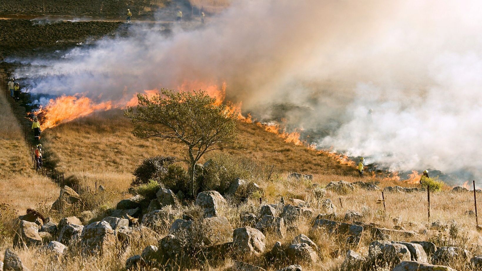 Wildfire Smoke - True Spring Nutrition Wildfire Smoke
