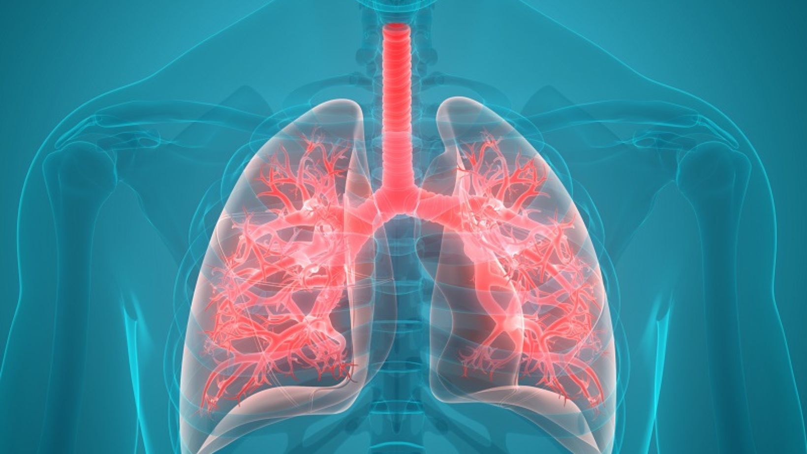 Viral Infections - True Spring Nutrition Viral Infections