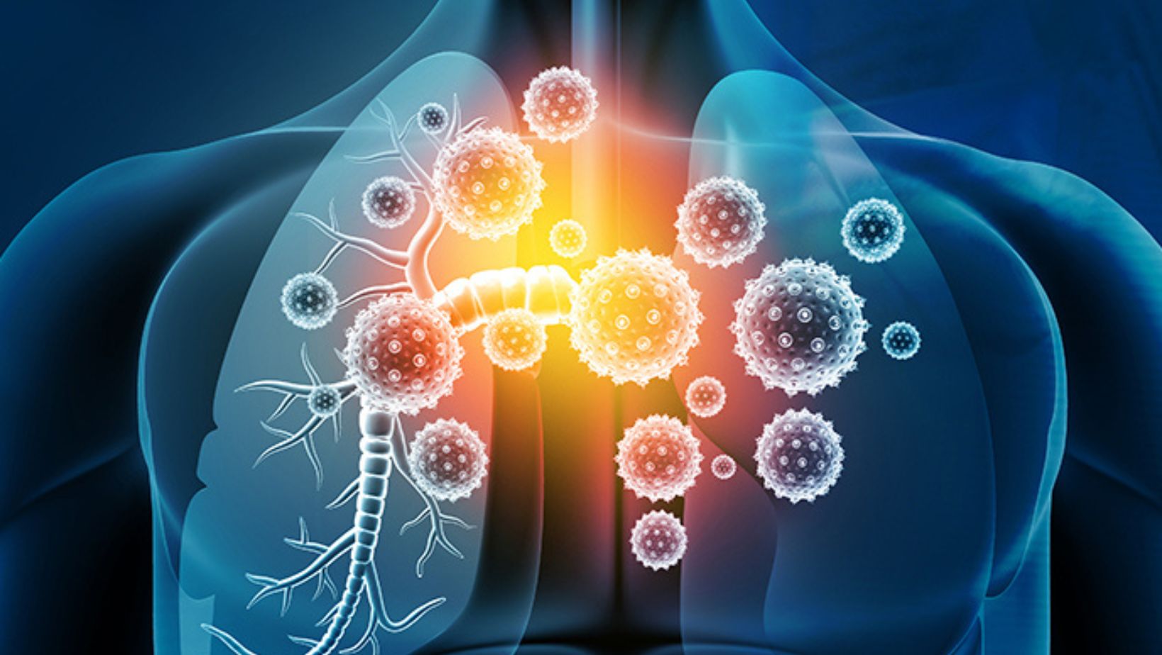 Infections - True Spring Nutrition Infections