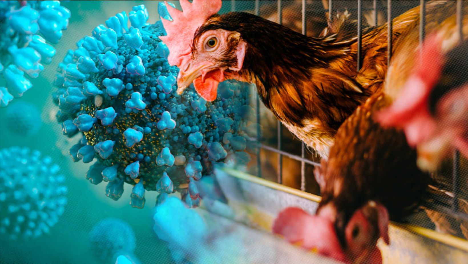 Mutations - True Spring Nutrition Mutations