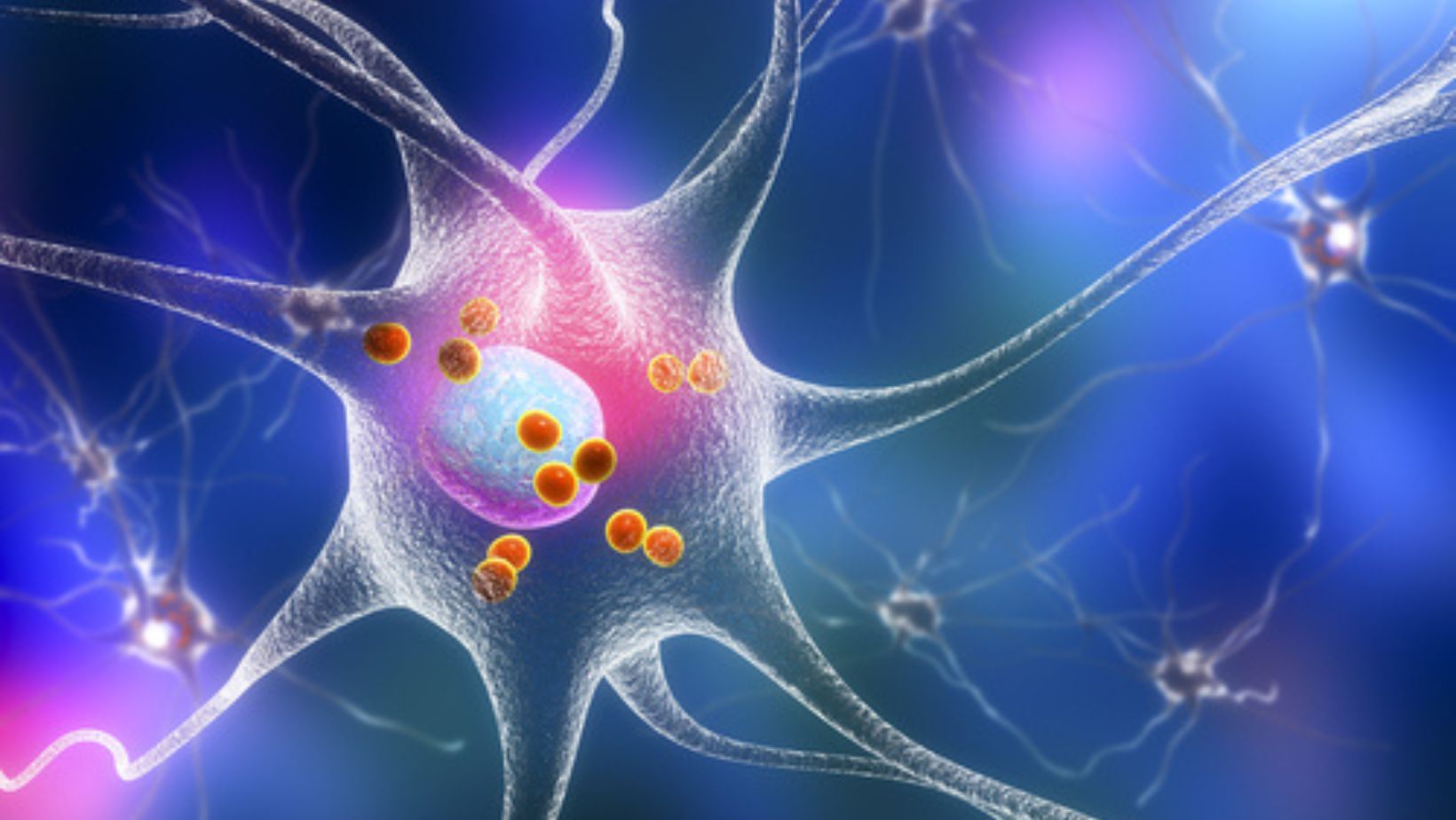 Glial Cells
