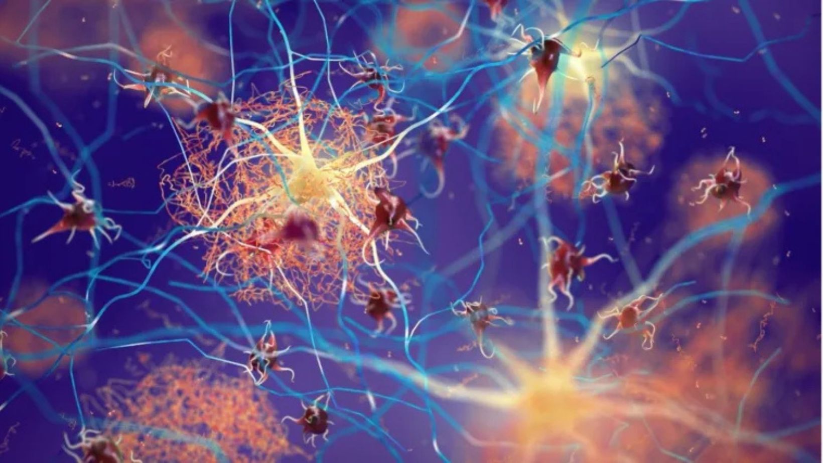 Glial Cells