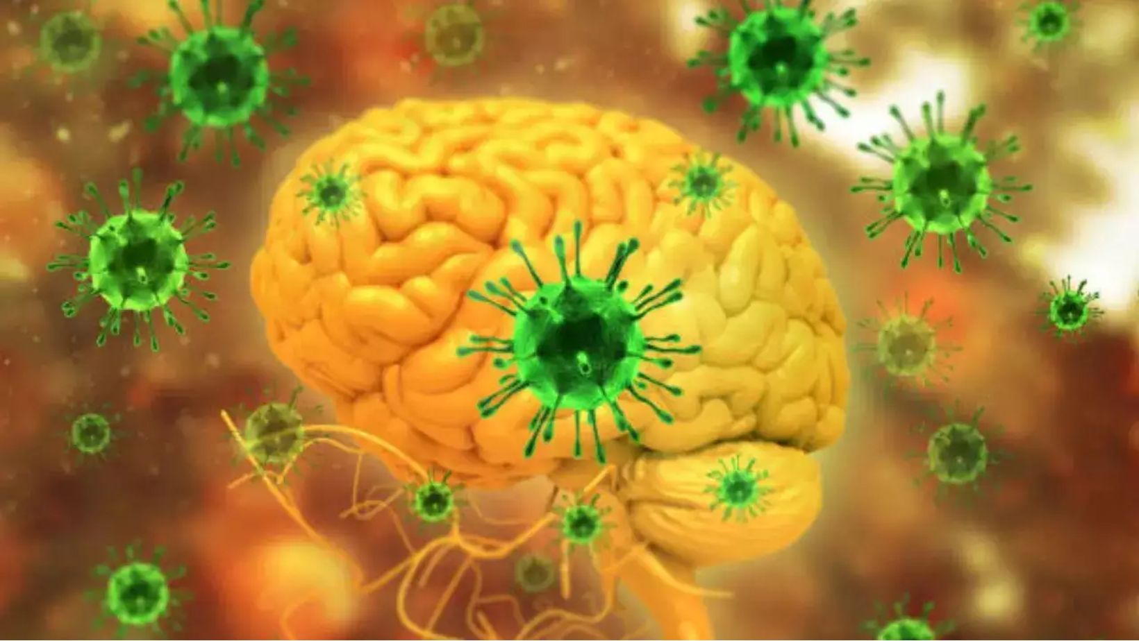 Hendra Virus