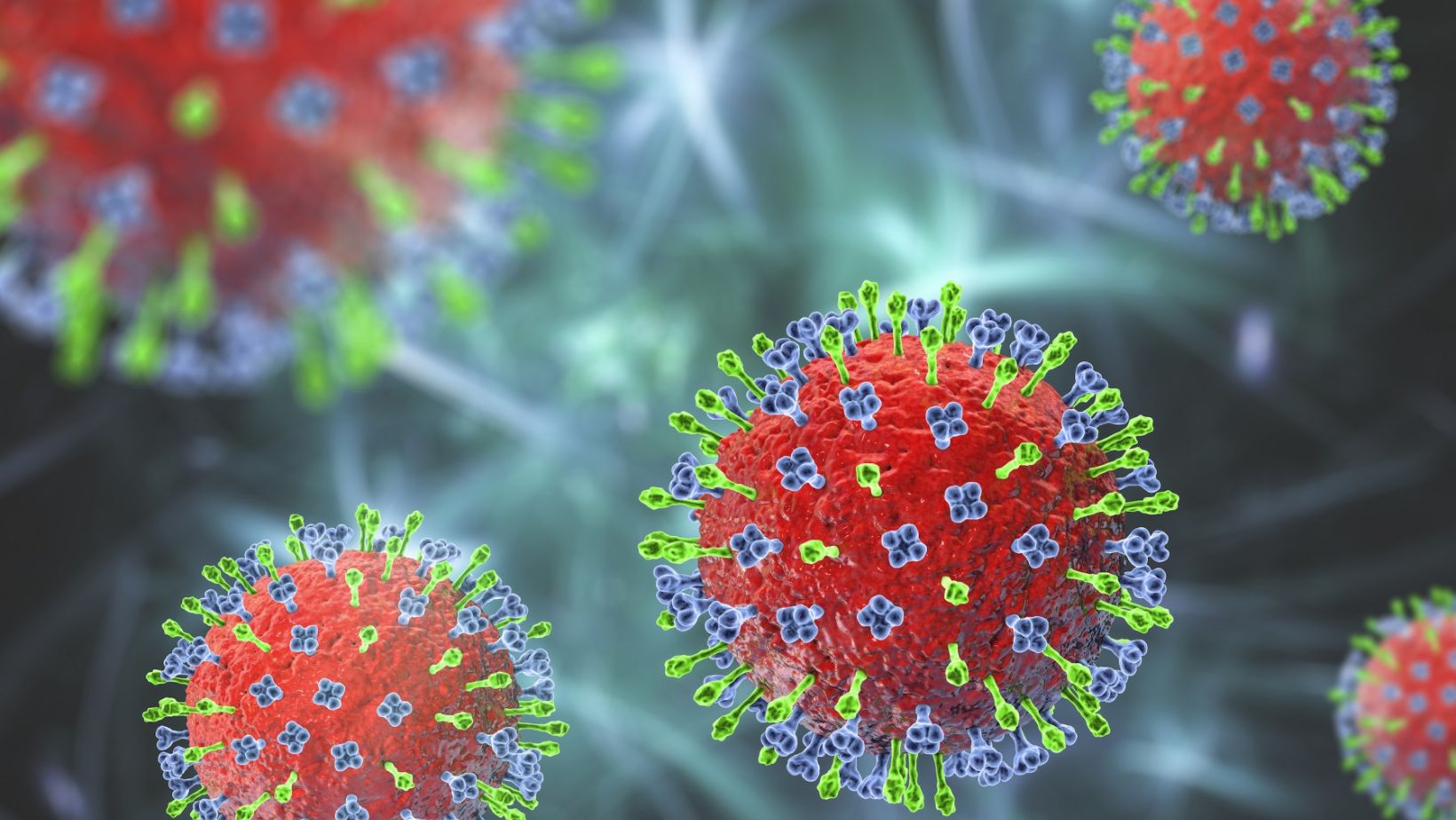 Hendra Virus